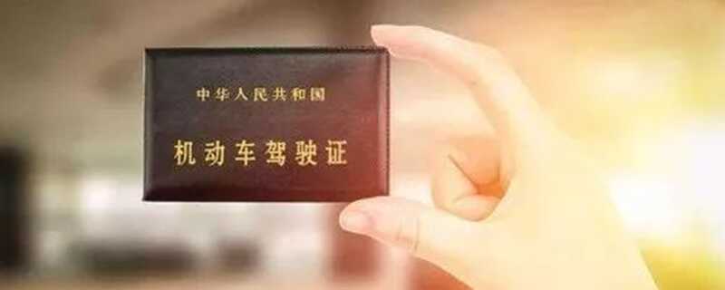 c2可以开的车型图-有驾