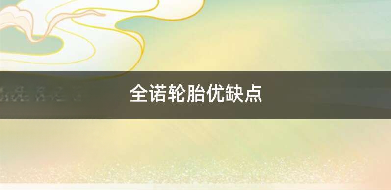 全诺轮胎优缺点-有驾 全诺轮胎优缺点-有驾