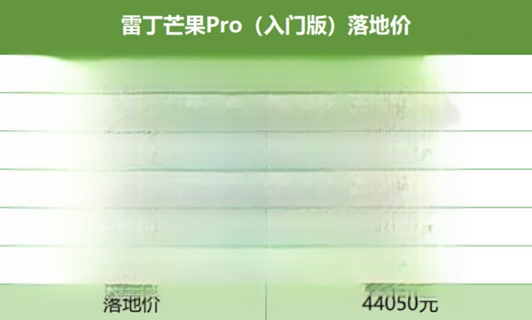 2万元雷丁电动四轮车-有驾 2万元雷丁电动四轮车-有驾