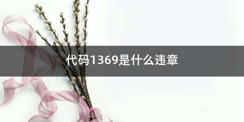 1369违章代码扣几分-有驾 1369违章代码扣几分-有驾