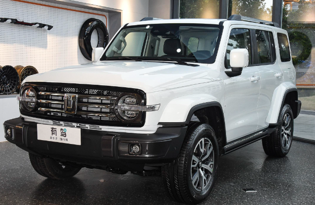 坦克300几把差速锁-有驾 坦克300几把差速锁-有驾