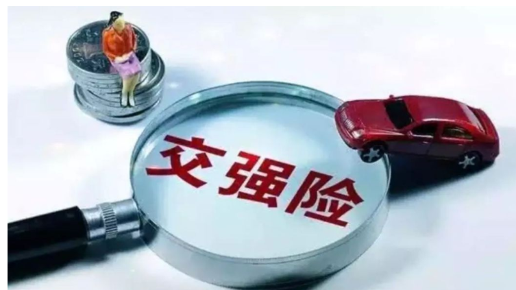 交强险和车船税必须买吗-有驾 交强险和车船税必须买吗-有驾