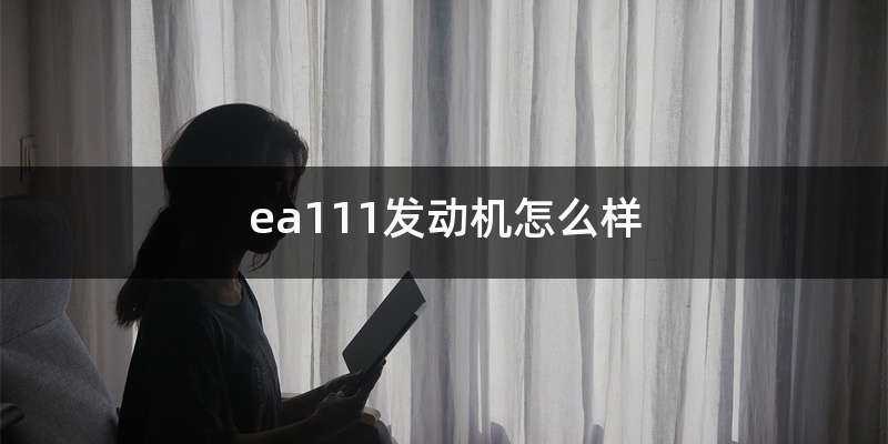 ea111发动机怎么样-有驾