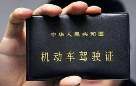 c1可以增什么驾照-有驾