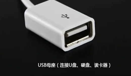 aux转换usb接口 车用-有驾